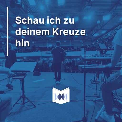 Schau ich zu deinem Kreuze hin